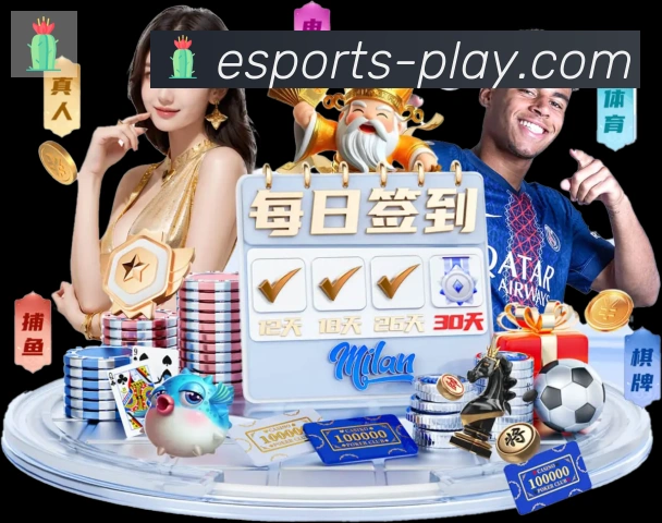 体育数据展示
